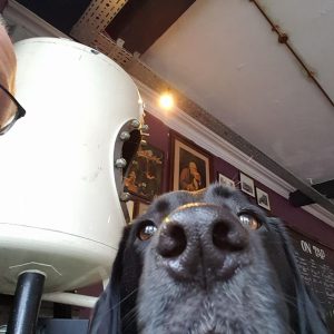 Sherlock Bones